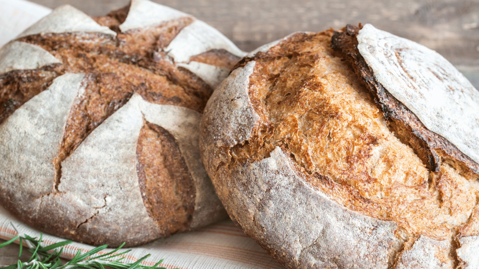 Homemade Sourdough Bread Benefits